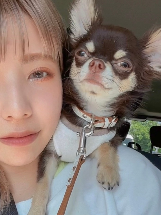 犬love 犬のいない生活は考えられない 犬バカ美容師による 美容師のための犬飼いのすすめ リクエストqjナビ 特集 キャリアアップ Page 4